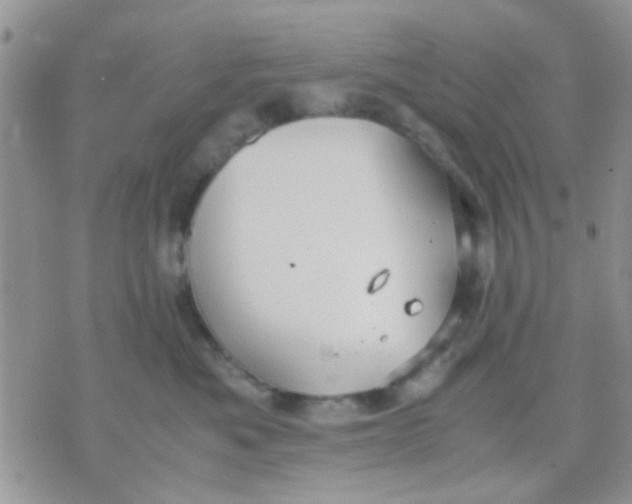 X0000071860525200607211920