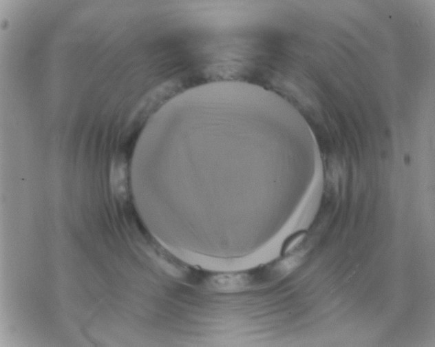 X0000071860526200607211920