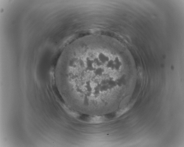 X0000071860527200607211920