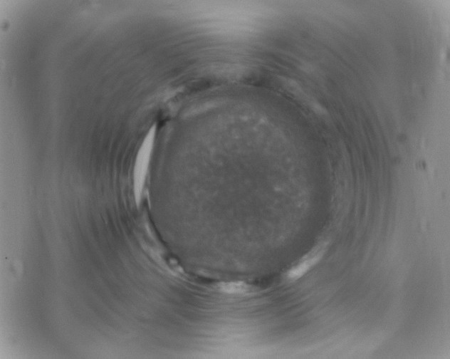 X0000071860528200607211920