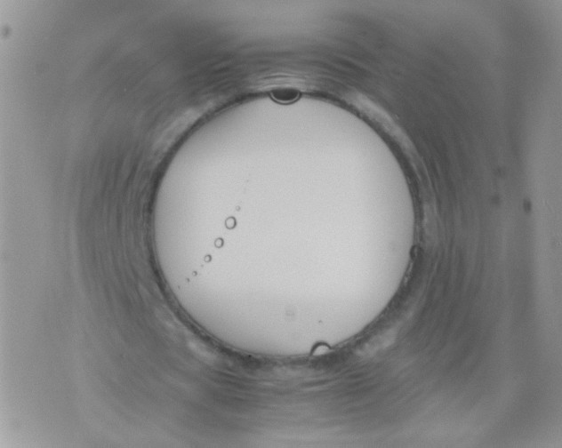 X0000071860529200607211919