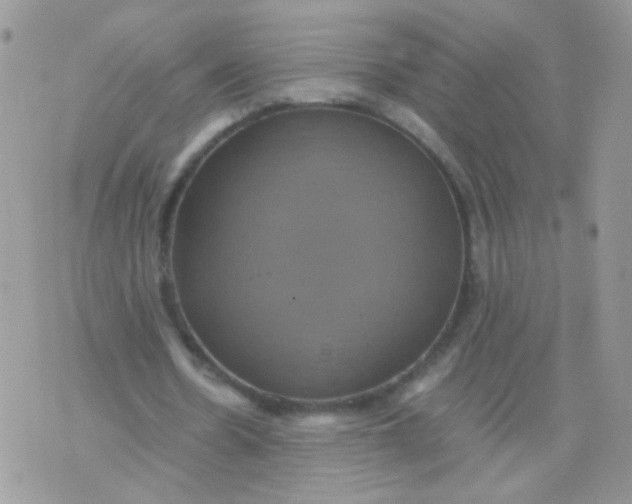 X0000071860530200607211919