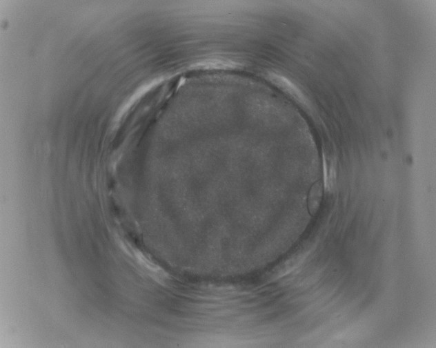 X0000071860531200607211919