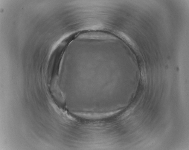 X0000071860532200607211919