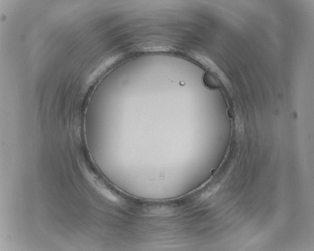 X0000071860533200607211919