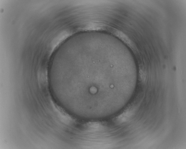 X0000071860534200607211919