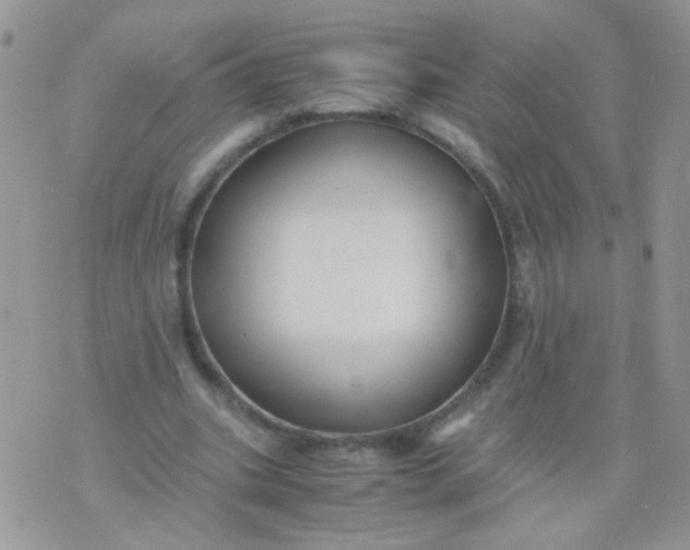 X0000071860535200607211919