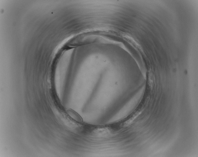 X0000071860536200607211919