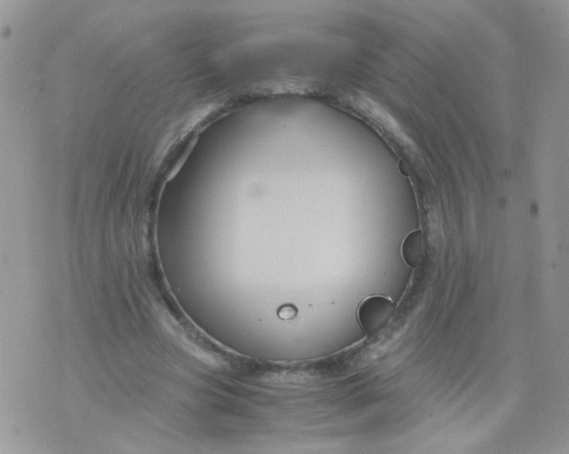 X0000071860537200607211919