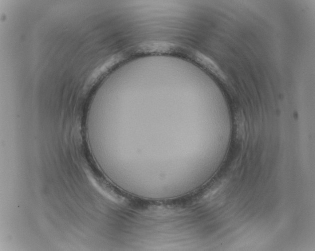 X0000071860538200607211920