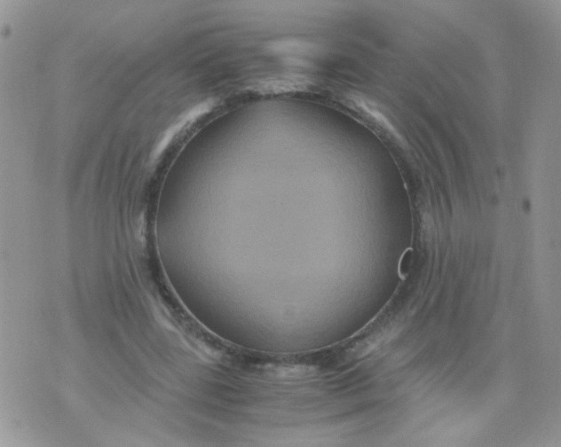 X0000071860539200607211920