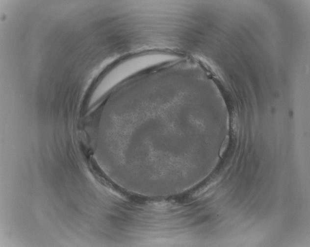 X0000071860540200607211920