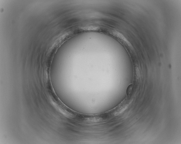 X0000071860541200607211920