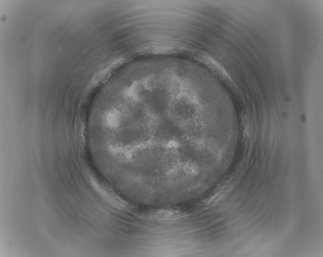 X0000071860542200607211920