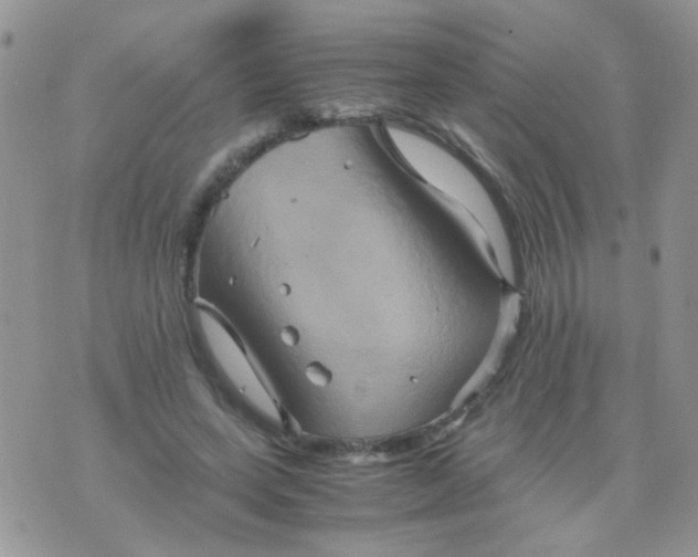 X0000071860543200607211920