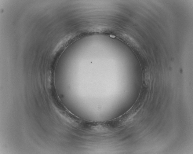 X0000071860544200607211920