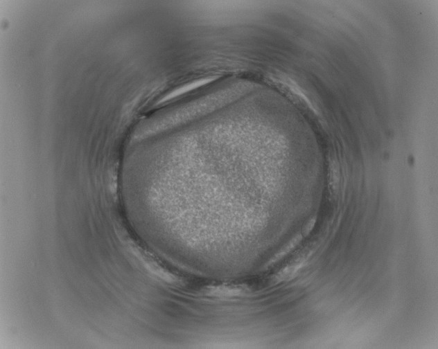 X0000071860545200607211920