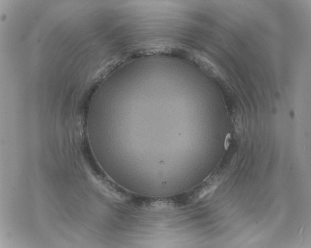 X0000071860546200607211920