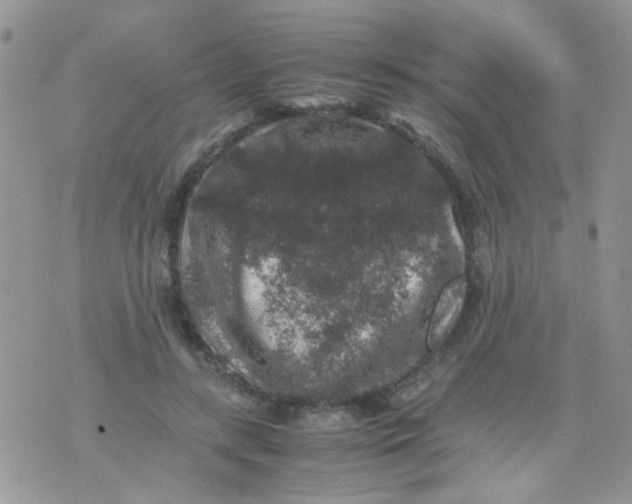 X0000071860547200607211920