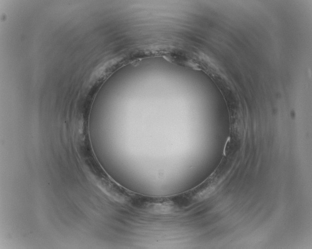 X0000071860548200607211920