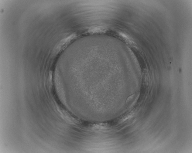 X0000071860550200607211920