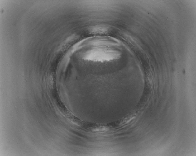 X0000071860551200607211920