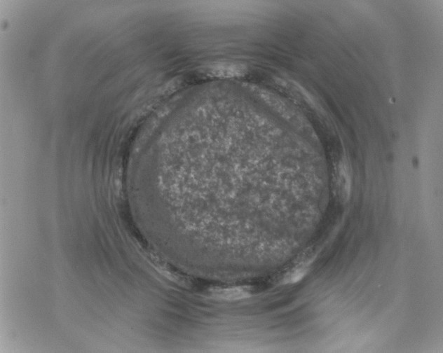 X0000071860553200607211920