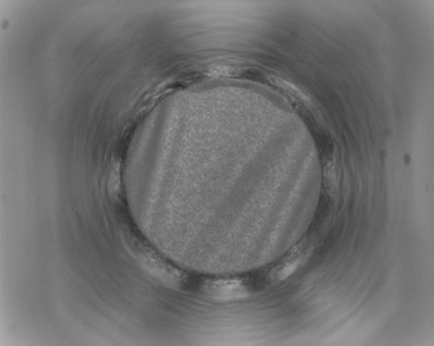 X0000071860554200607211920