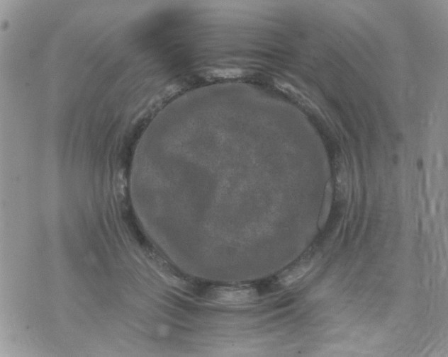 X0000071860555200607211920