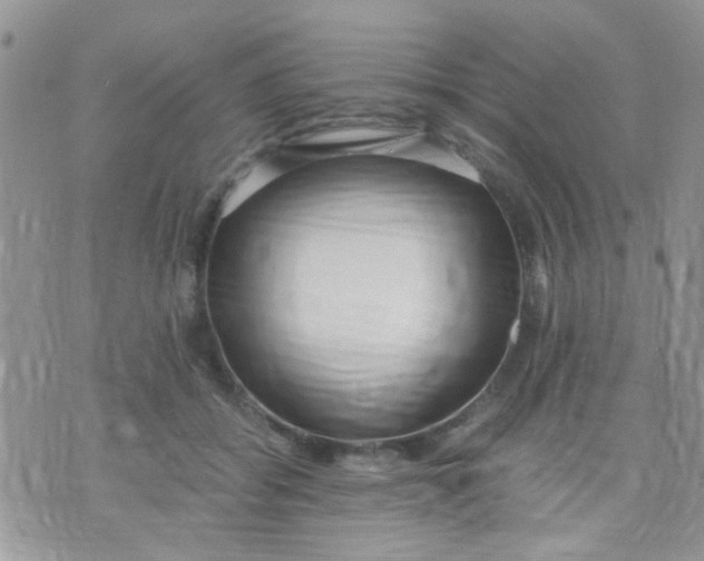 X0000071860556200607211920