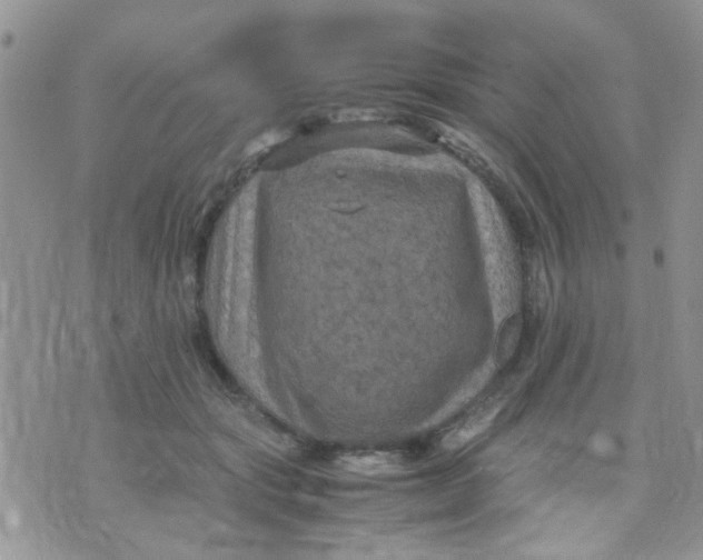 X0000071860557200607211920