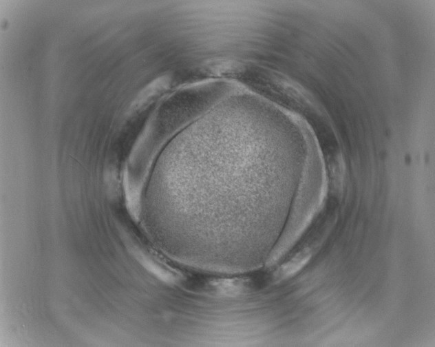 X0000071860558200607211920