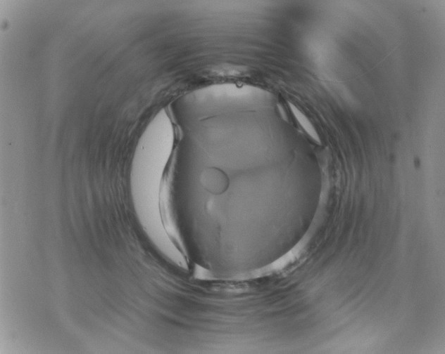 X0000071860559200607211920