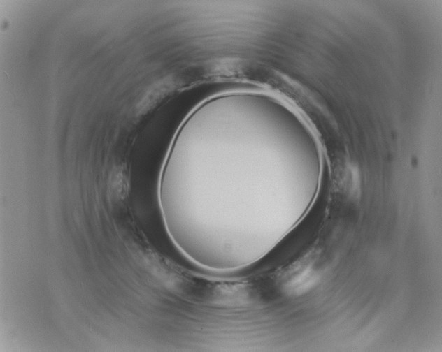 X0000071860560200607211920