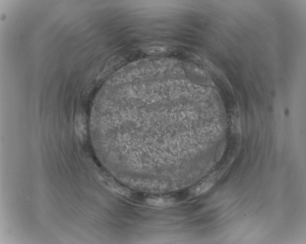 X0000071860561200607211920