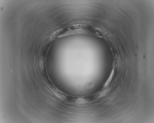 X0000071860562200607211920