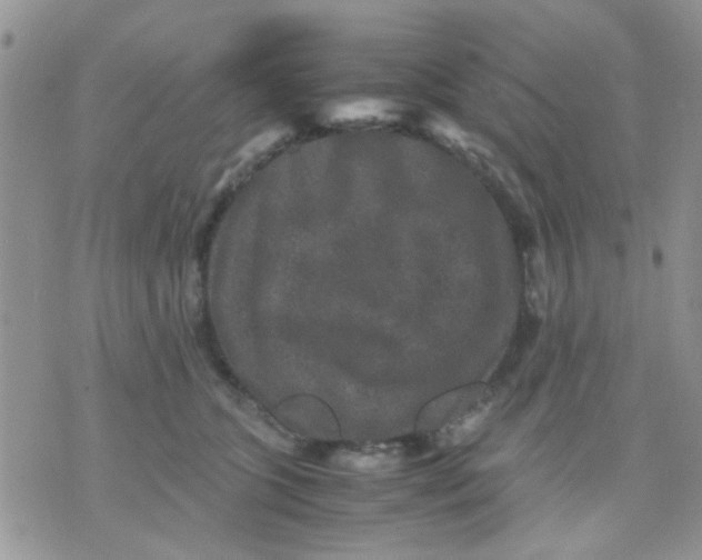 X0000071860563200607211920