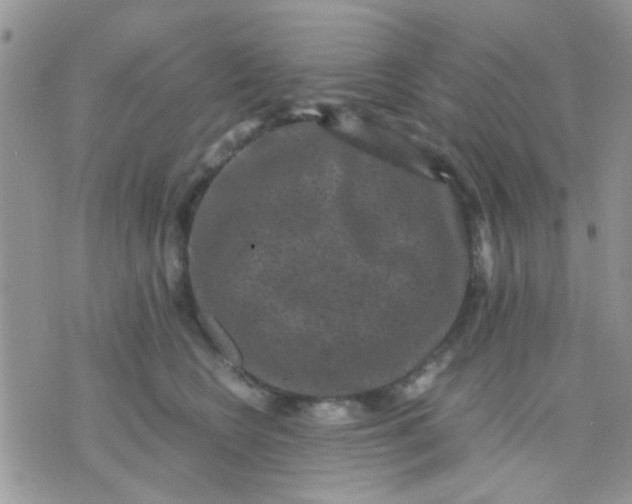 X0000071860566200607211920