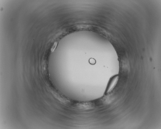 X0000071860567200607211920