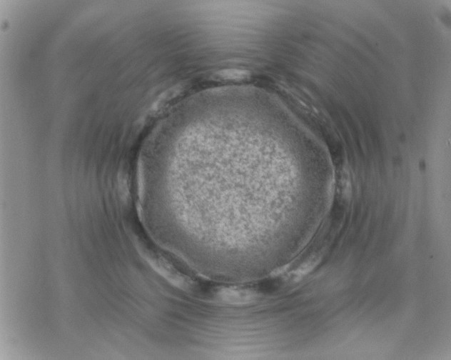 X0000071860568200607211920