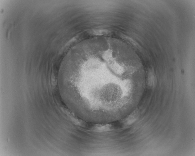 X0000071860569200607211920