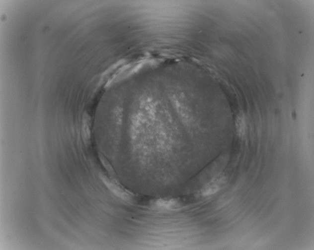 X0000071860570200607211920