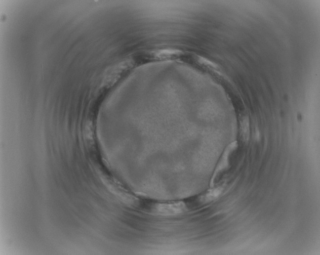 X0000071860571200607211920