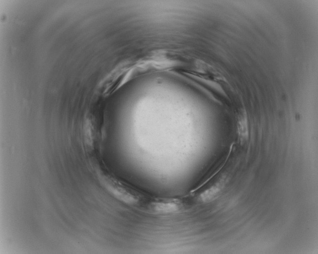 X0000071860572200607211920