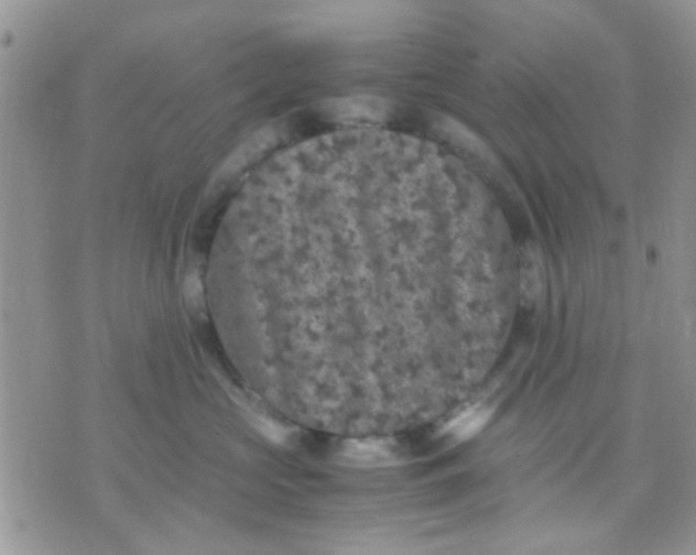 X0000071860573200607211920