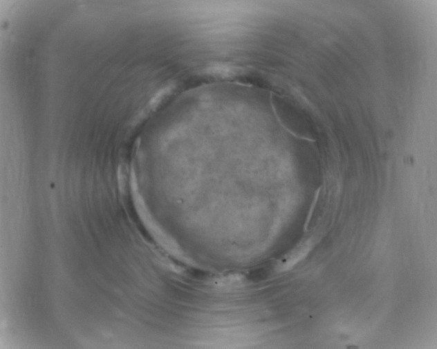 X0000071860576200607211920