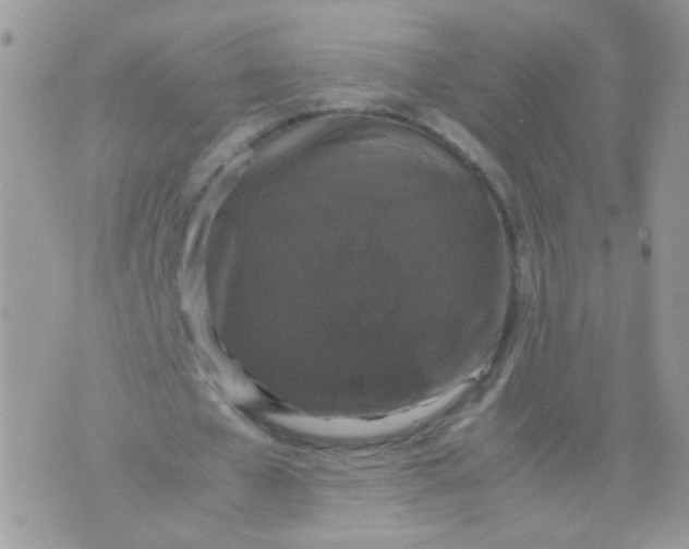 X0000071860577200607211919