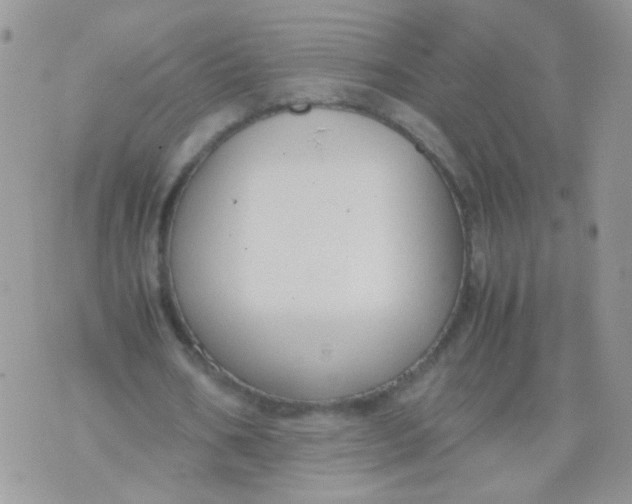 X0000071860578200607211919