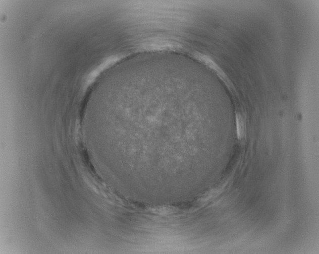 X0000071860579200607211919