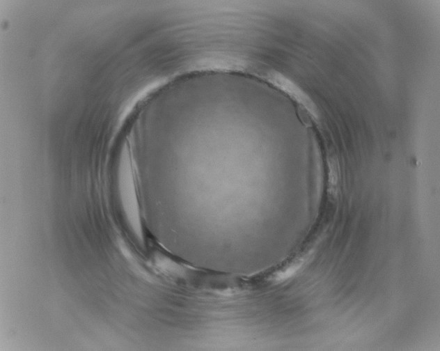 X0000071860580200607211919